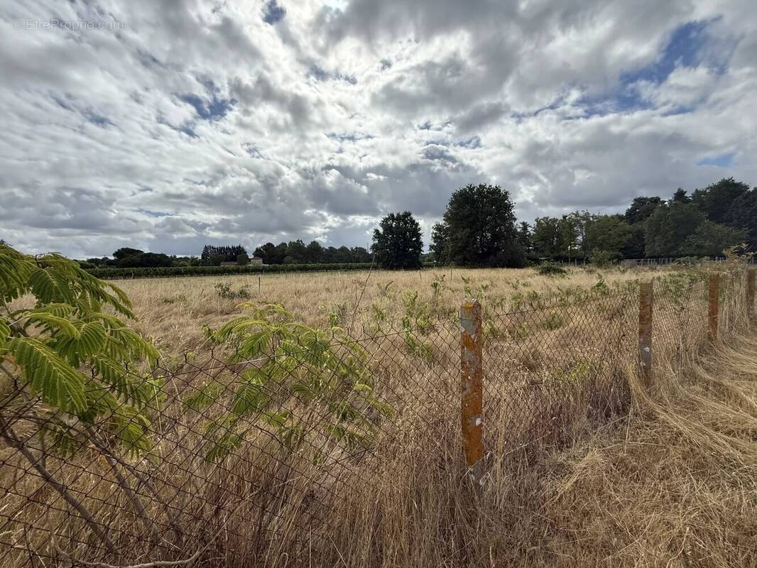 Terrain à SAINT-CIERS-SUR-GIRONDE