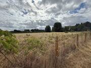 Terrain à SAINT-CIERS-SUR-GIRONDE