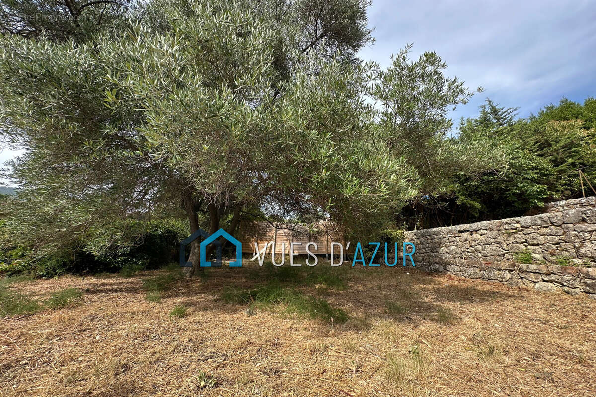 Terrain à GRASSE