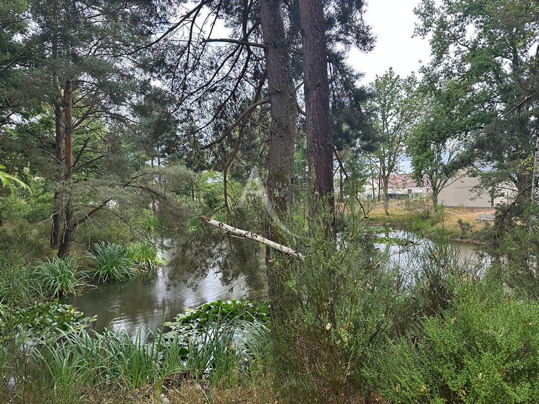 Terrain à SAINT-MARTIN-D&#039;ABBAT