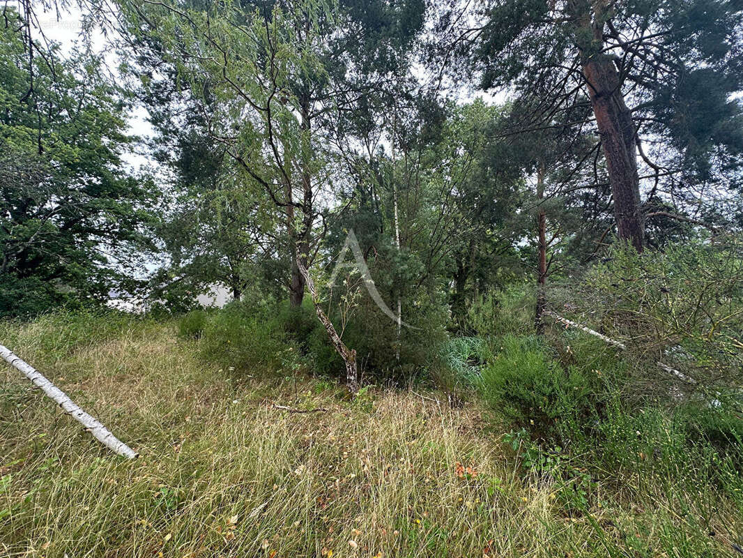 Terrain à SAINT-MARTIN-D&#039;ABBAT