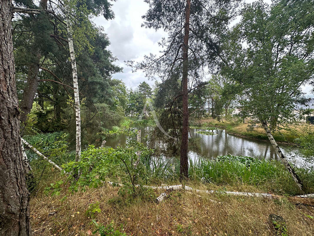 Terrain à SAINT-MARTIN-D&#039;ABBAT