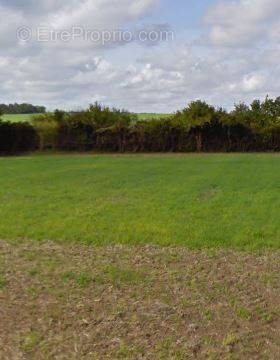 Terrain à PICHANGES