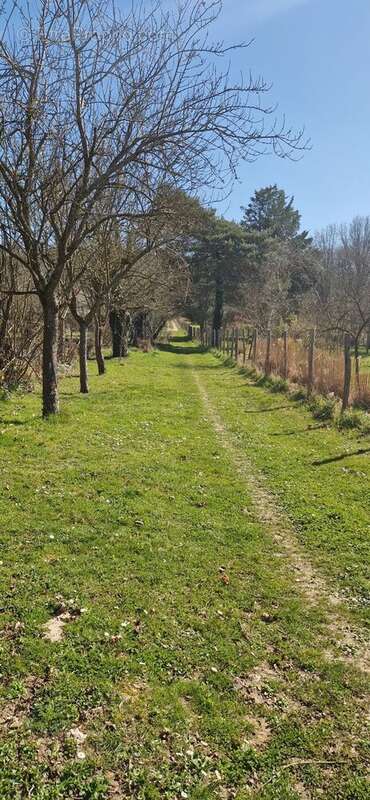 Maison à VERNOU-LA-CELLE-SUR-SEINE