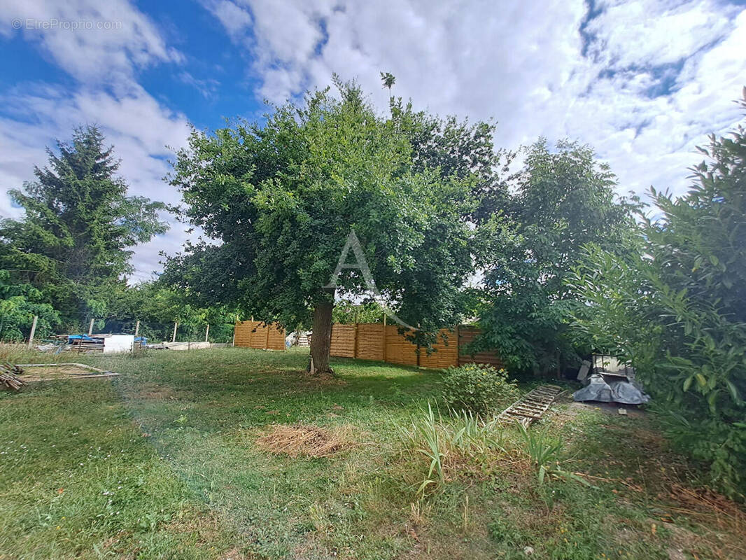 Terrain à MORIGNY-CHAMPIGNY