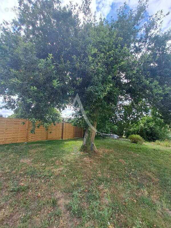 Terrain à MORIGNY-CHAMPIGNY