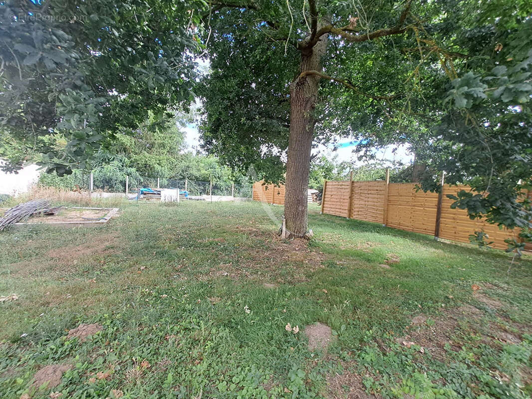 Terrain à MORIGNY-CHAMPIGNY