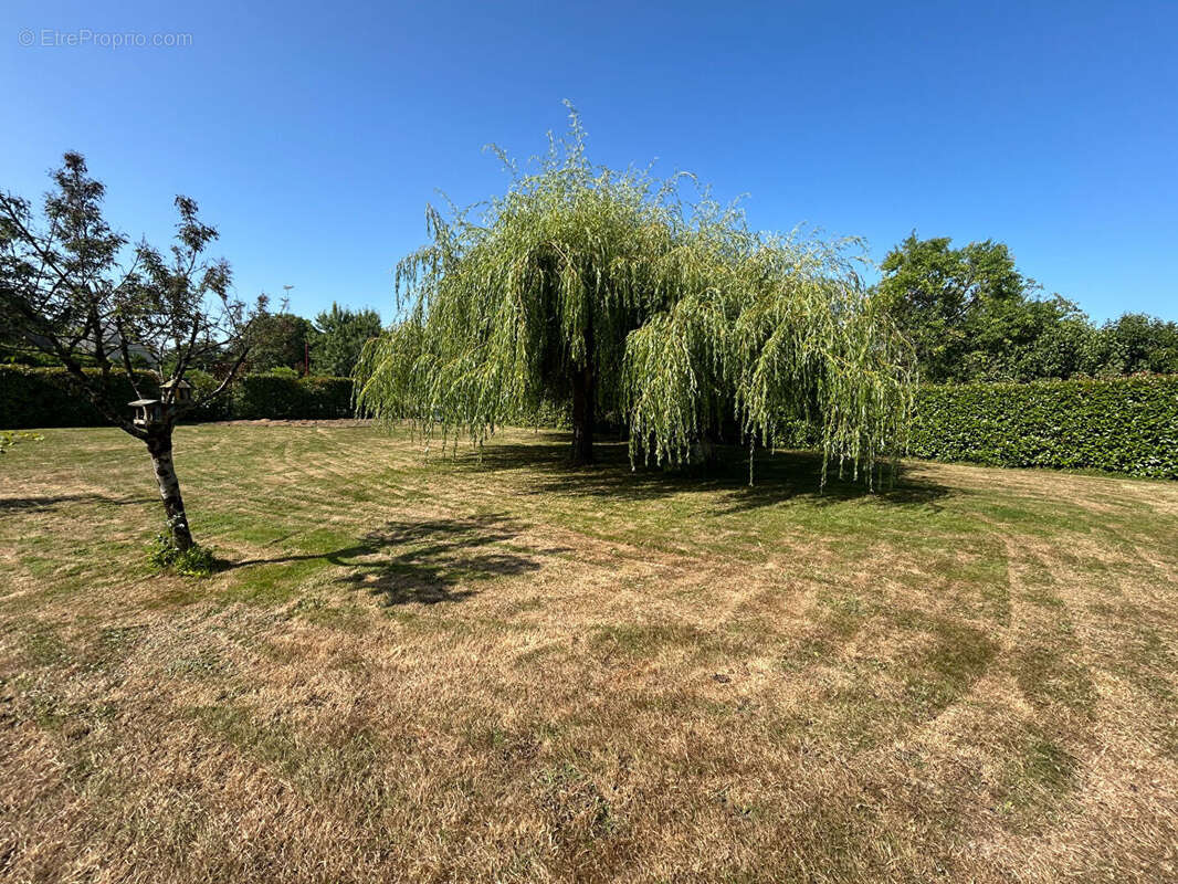 Maison à BECON-LES-GRANITS