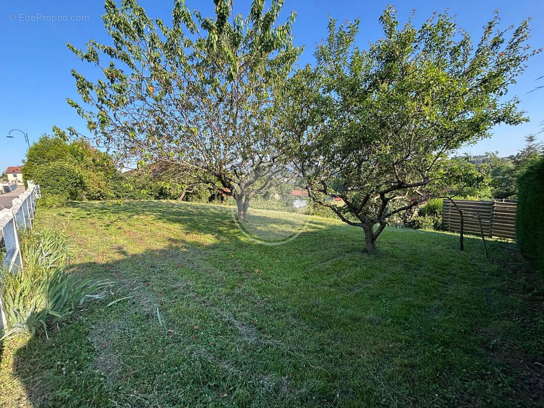 Terrain à SAINT-LAURENT-DE-CHAMOUSSET