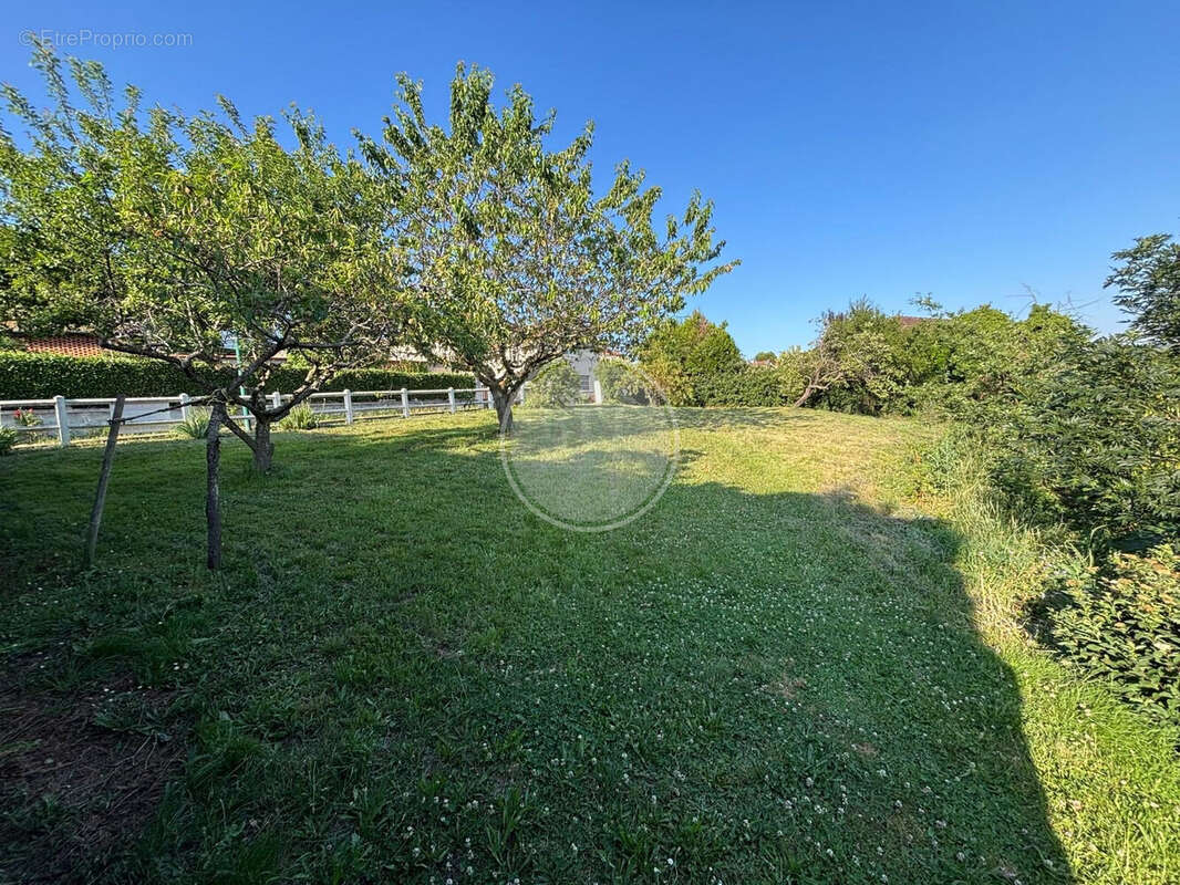 Terrain à SAINT-LAURENT-DE-CHAMOUSSET