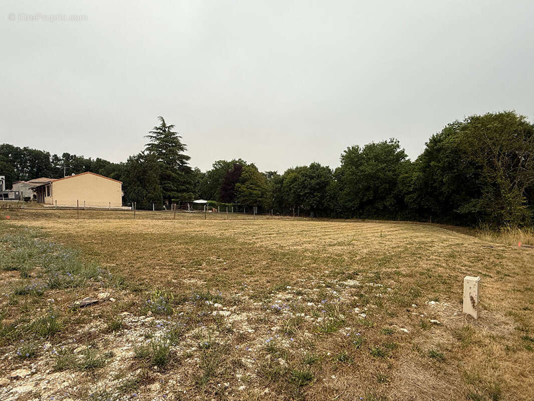Terrain à CHAMPNIERS