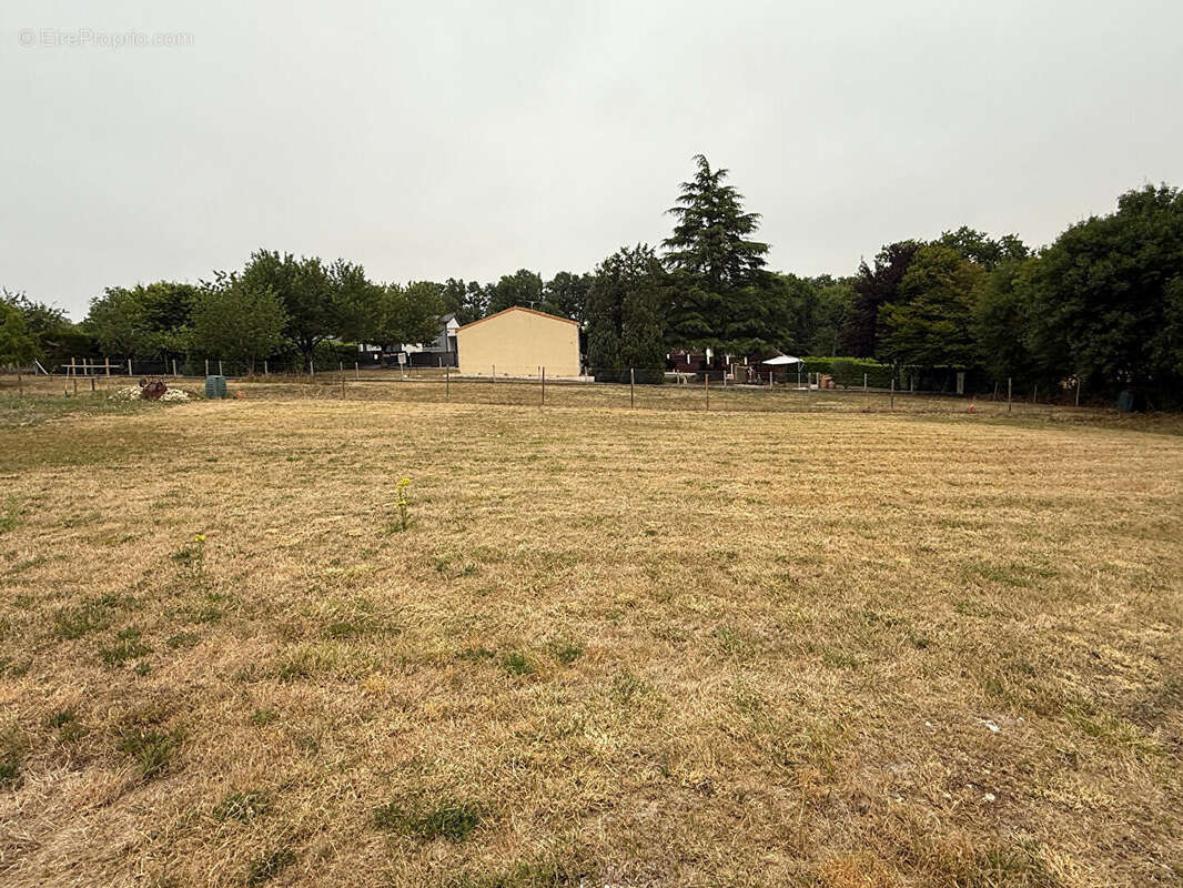 Terrain à CHAMPNIERS
