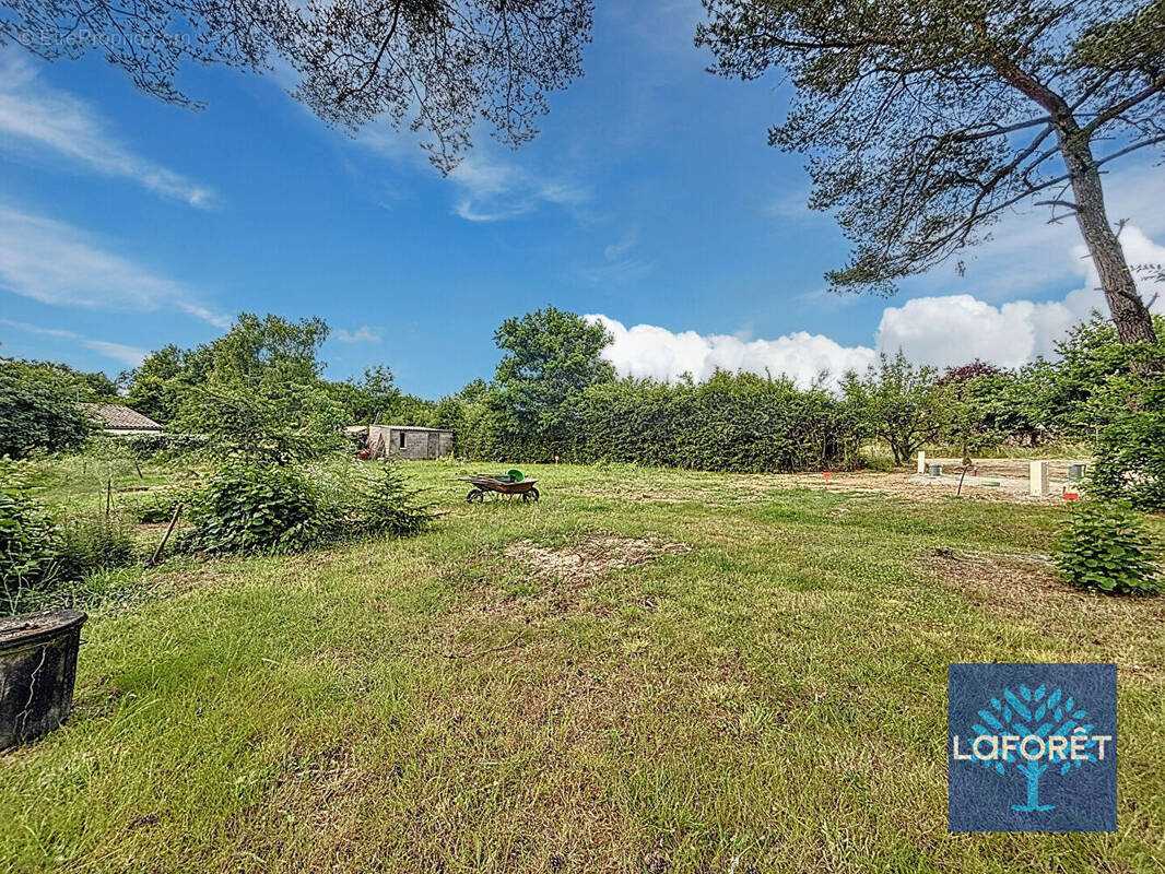 Terrain à LA ROCHE-SUR-YON