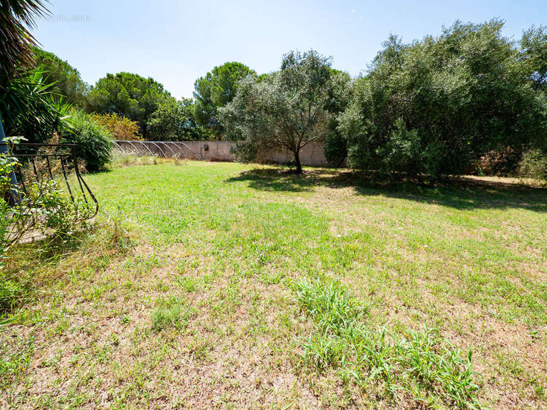 Maison à ARGELES-SUR-MER