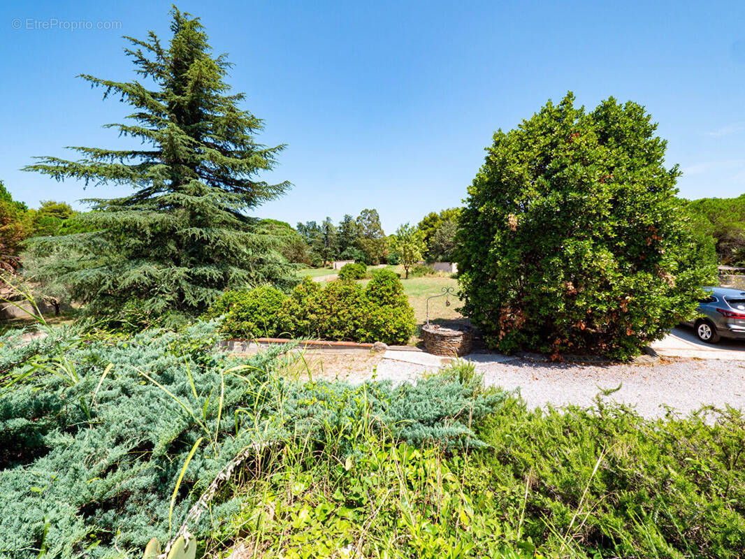 Maison à ARGELES-SUR-MER