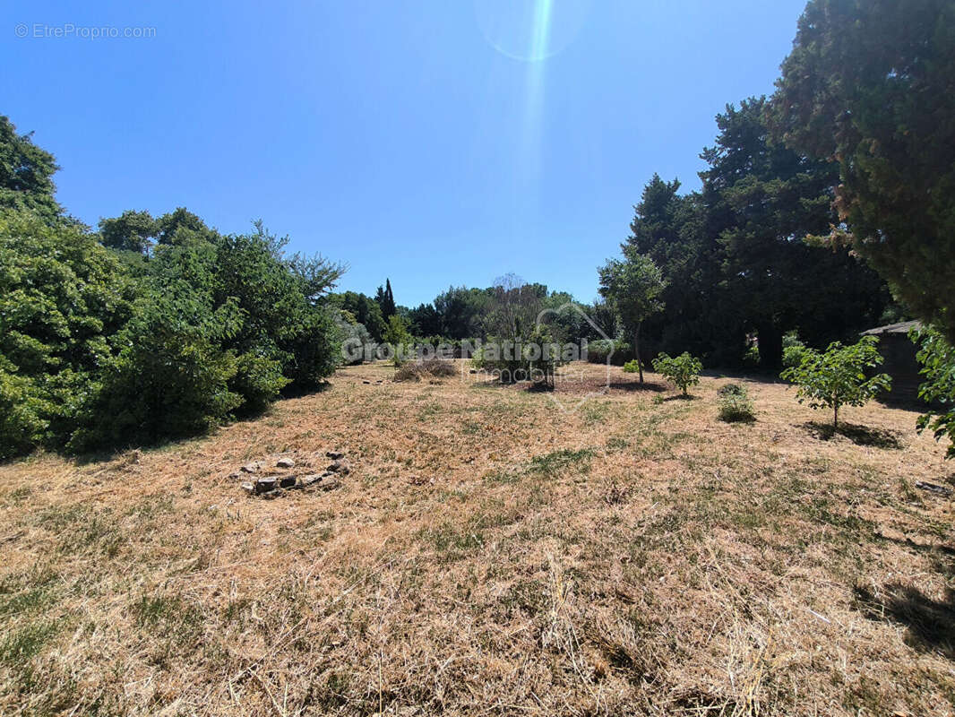 Maison à CARPENTRAS