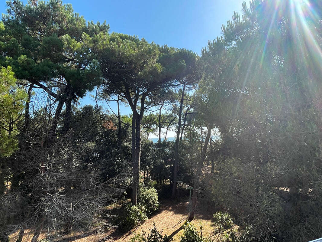 Maison à SAINT-GEORGES-D&#039;OLERON