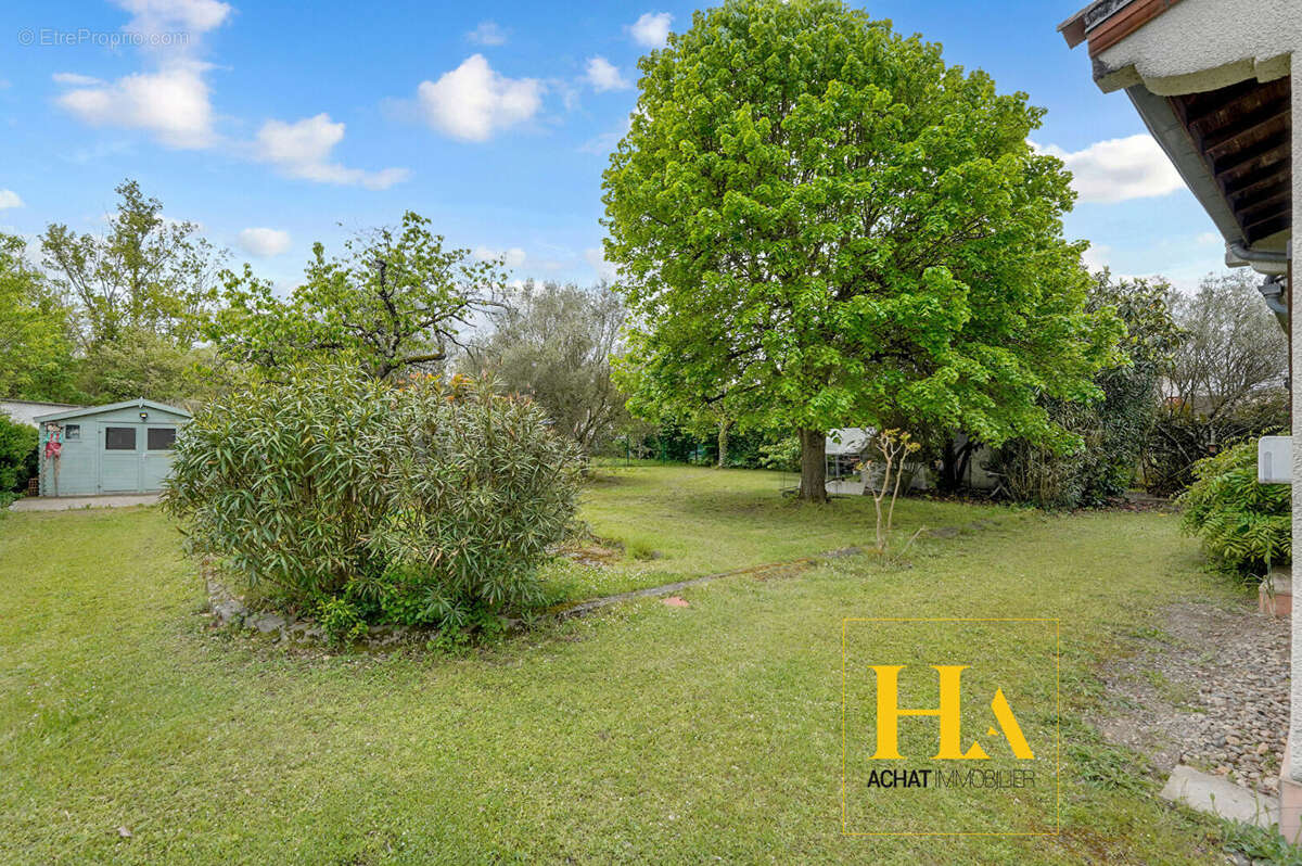 Maison à VILLENEUVE-TOLOSANE