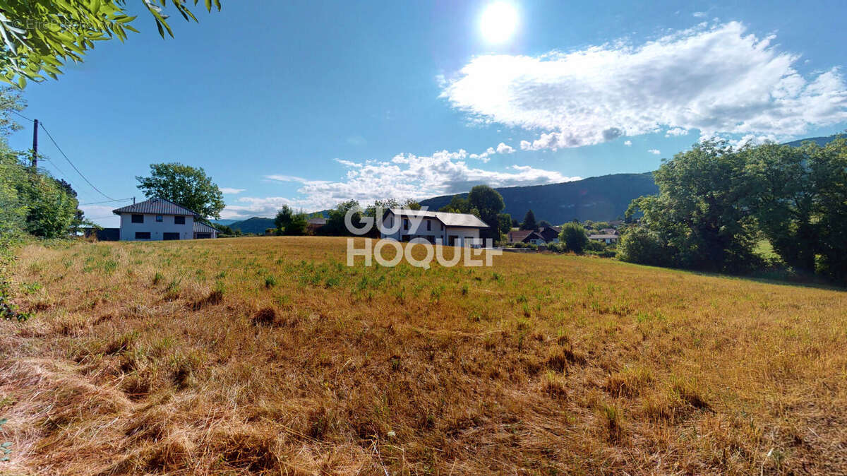 Terrain à QUINTAL