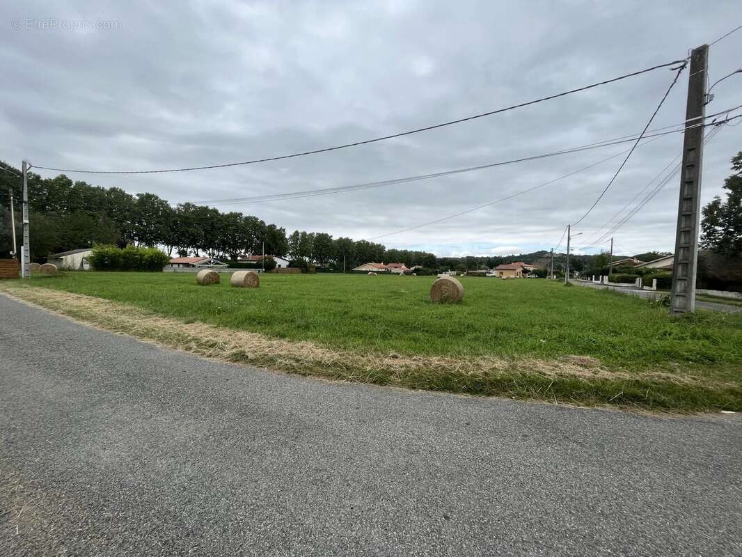 Terrain à MONTESQUIEU-VOLVESTRE