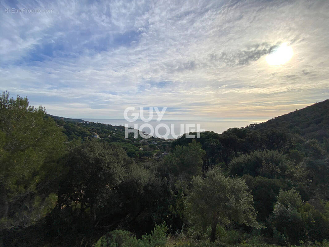 Maison à RAMATUELLE