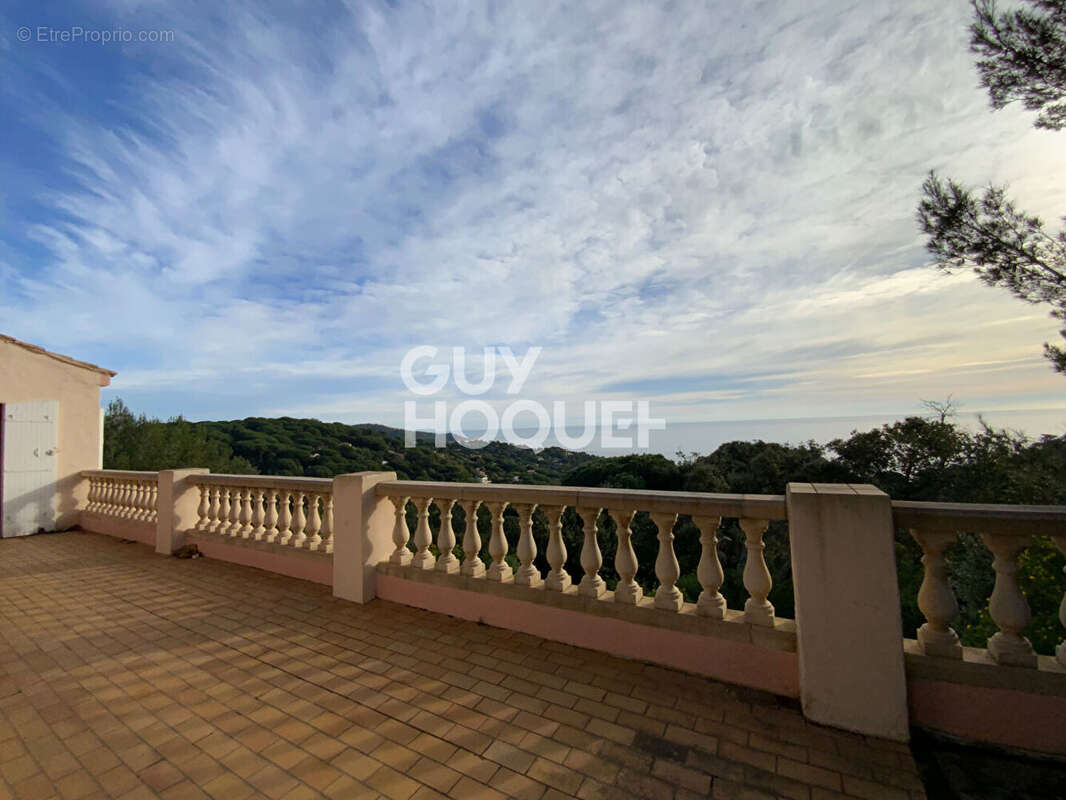 Maison à RAMATUELLE