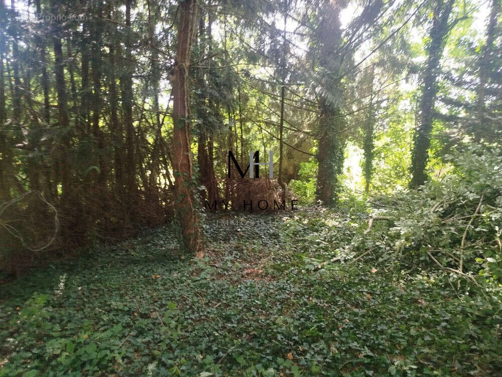 Maison à LA POTERIE-AU-PERCHE