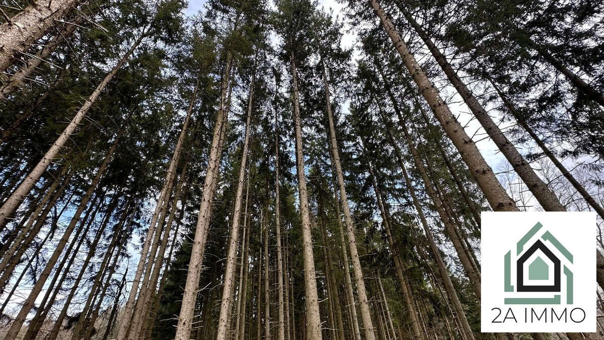 Terrain à SAINT-OURS