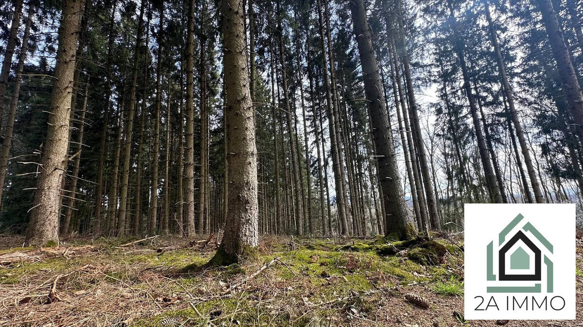 Terrain à SAINT-OURS