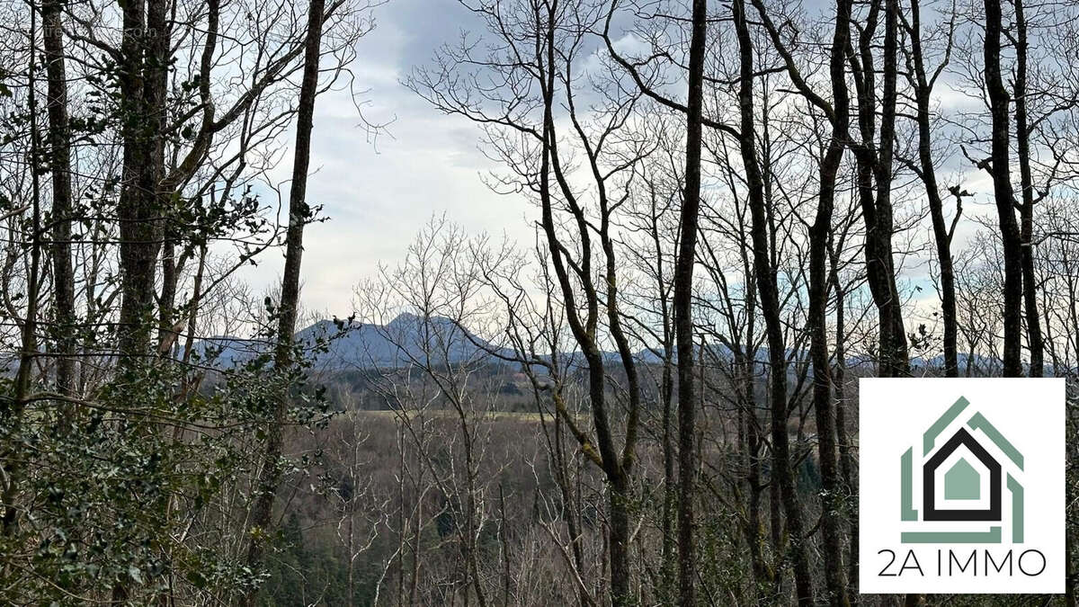 Terrain à SAINT-OURS