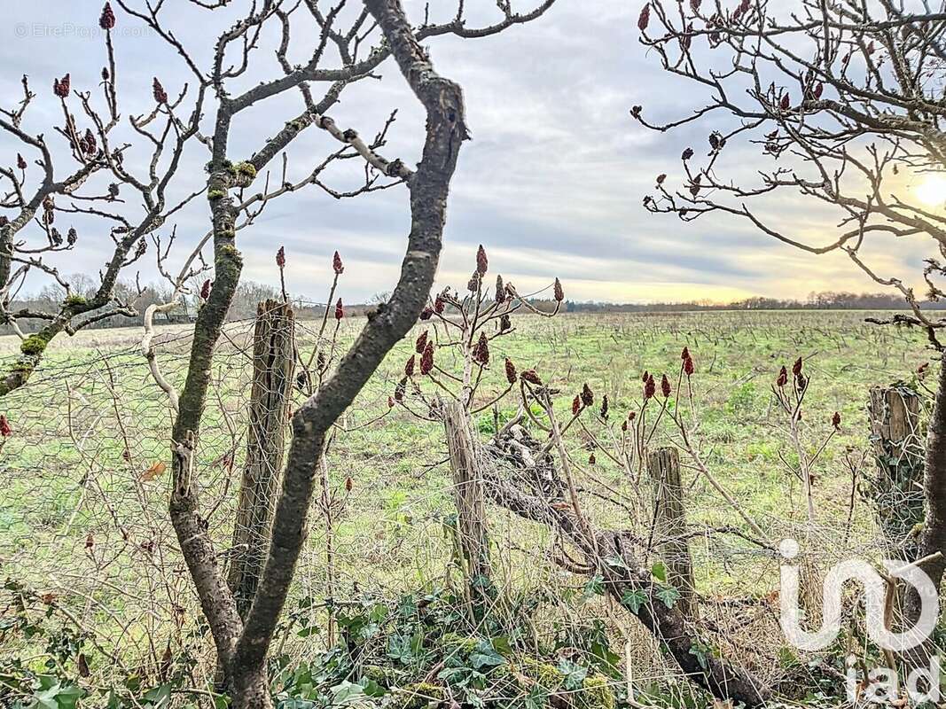 Photo 6 - Maison à BROSSES
