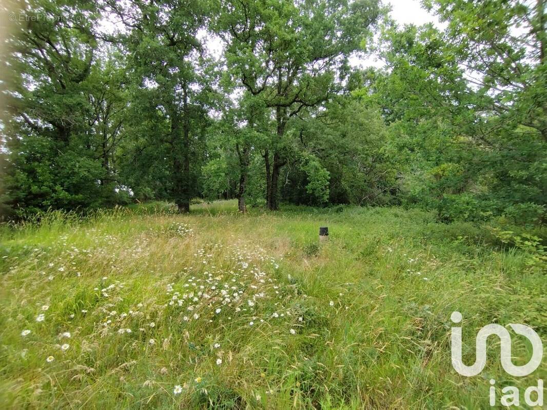 Photo 1 - Terrain à VILLEFRANCHE-DE-LONCHAT