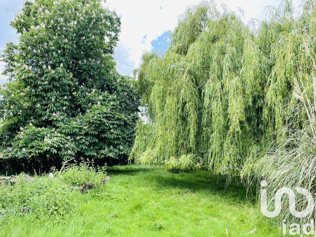 Photo 6 - Maison à CERNUSSON