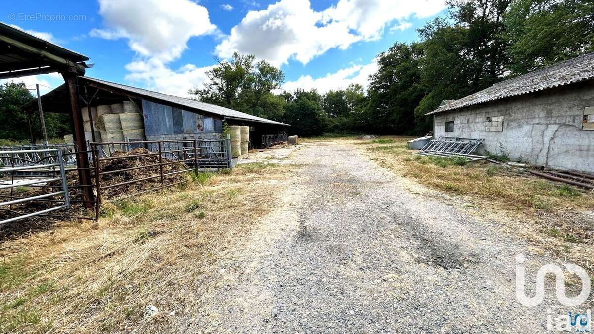 Photo 4 - Terrain à CUZIEU