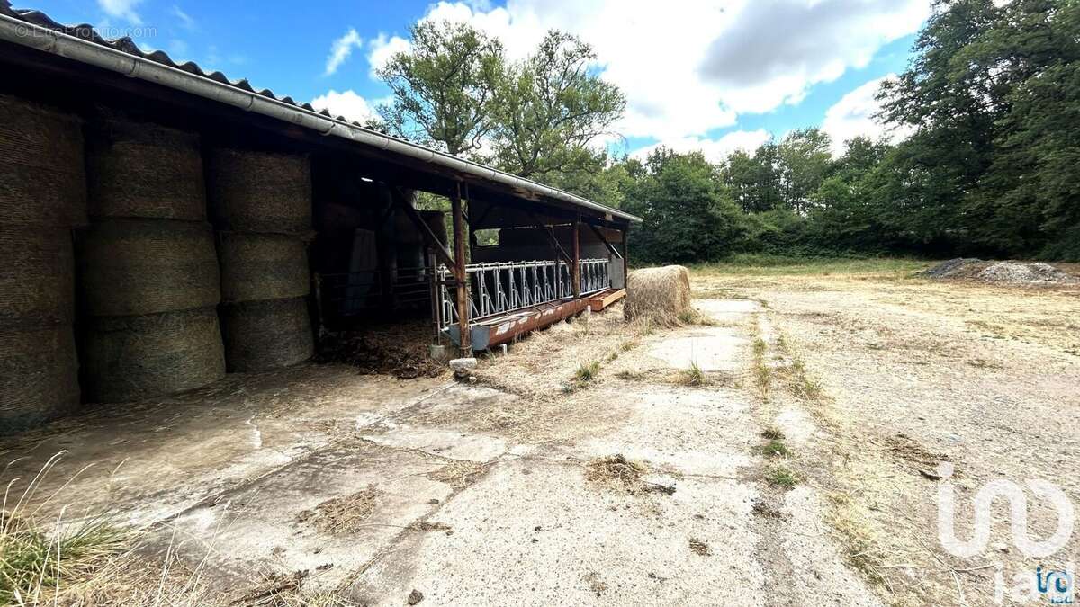 Photo 6 - Terrain à CUZIEU