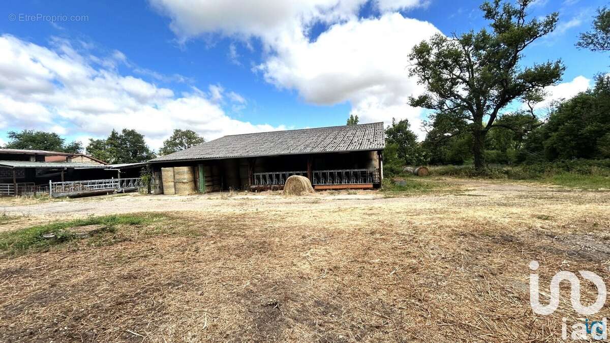 Photo 8 - Terrain à CUZIEU