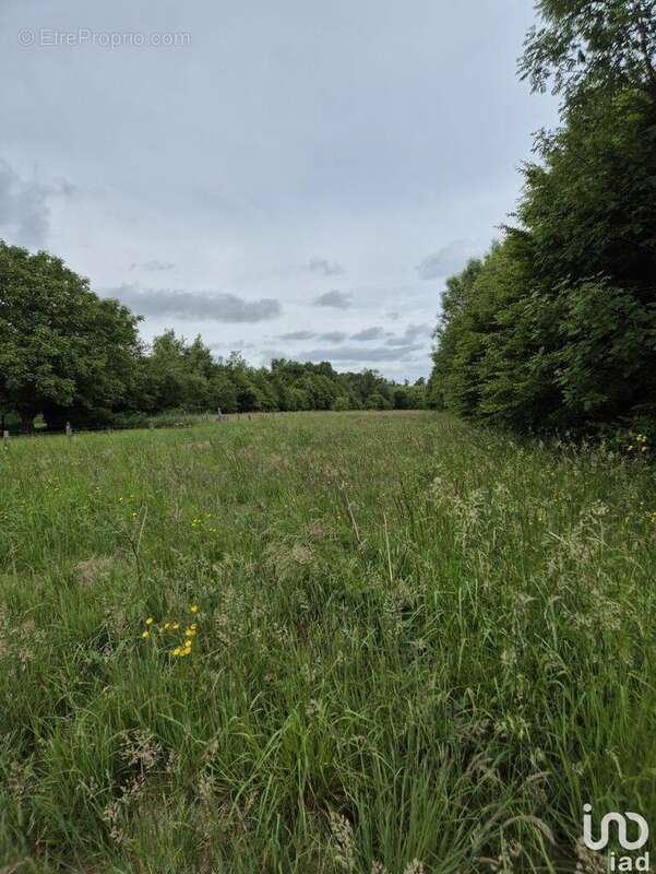 Photo 2 - Terrain à ROCROI