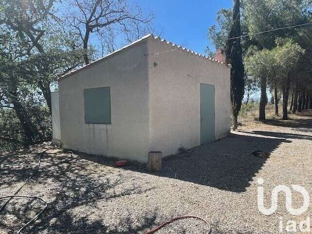 Photo 3 - Terrain à ELNE