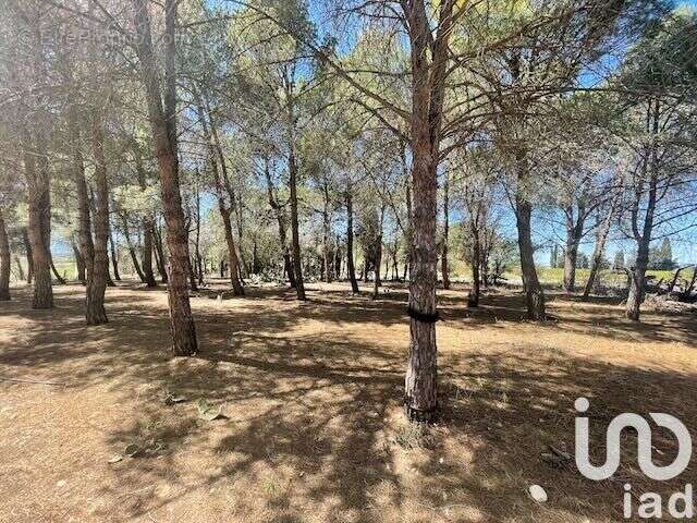 Photo 6 - Terrain à ELNE