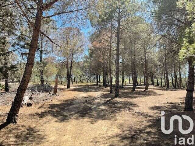 Photo 7 - Terrain à ELNE