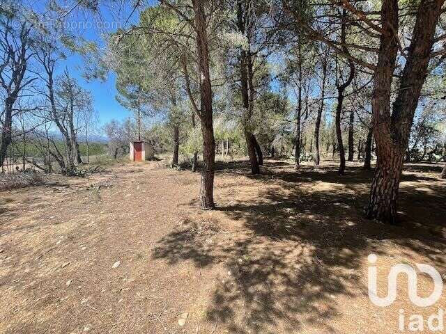 Photo 8 - Terrain à ELNE