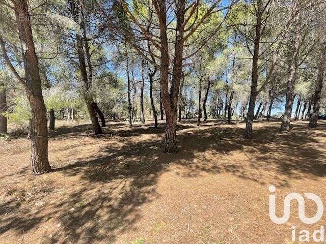 Photo 9 - Terrain à ELNE