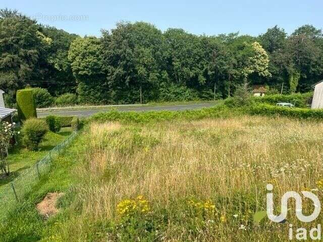 Photo 2 - Terrain à TREIGNAC