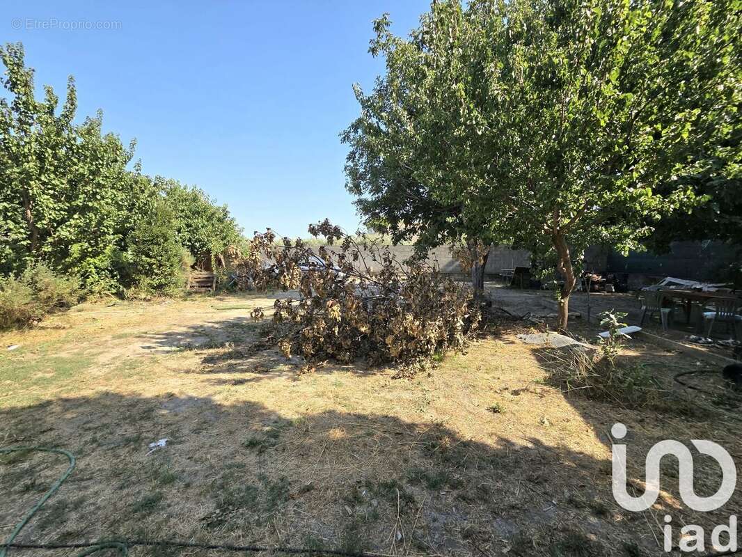 Photo 3 - Terrain à ENTRAIGUES-SUR-LA-SORGUE