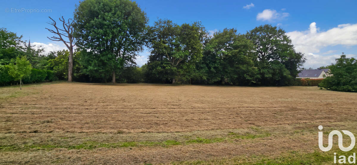 Photo 5 - Terrain à PEILLAC