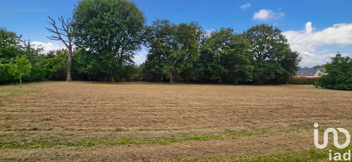 Photo 3 - Terrain à PEILLAC