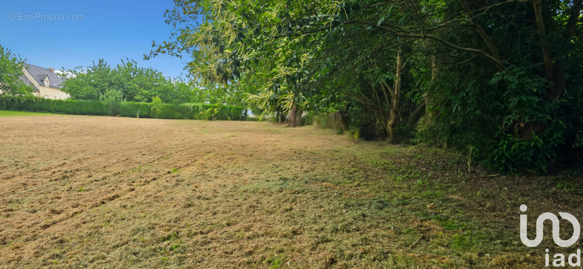 Photo 7 - Terrain à PEILLAC