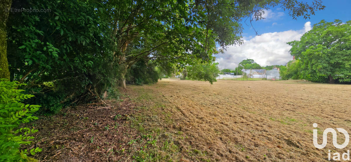 Photo 3 - Terrain à PEILLAC