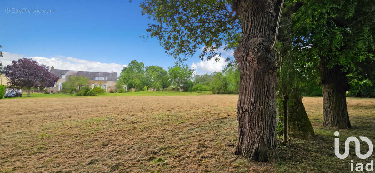 Photo 5 - Terrain à PEILLAC