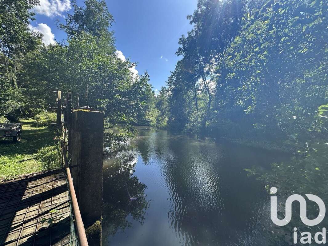 Photo 6 - Maison à LONGNY-AU-PERCHE